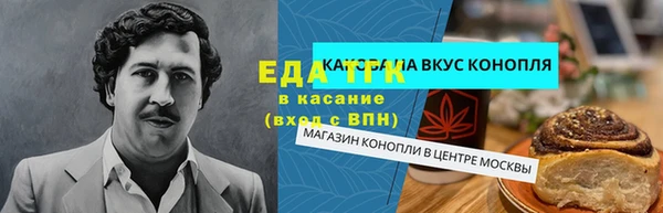 СК Алексин