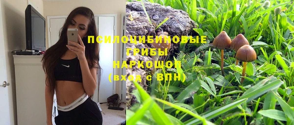 прущая мука Алзамай