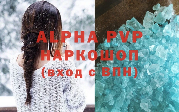 СК Алексин